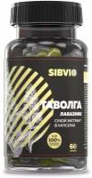 Таволга (Лабазник) сухой экстракт в капсулах, 60 шт по 400 мг