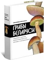 Грибы. Справочник-определитель | Адамчик Владимир Вячеславович