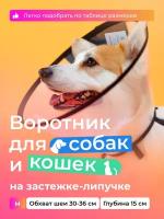 Воротник защитный ветеринарный для собак и кошек № 15 см, на липучке / AniMall