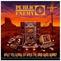 Виниловая пластинка Universal Music Public Enemy - What You Gonna Do When The Grid Goes Dow? (LP)