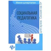 Социальная педагогика. Шпаргалка | Альжев Давид Витальевич