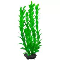 Искусственное растение Tetra Hygrophila M