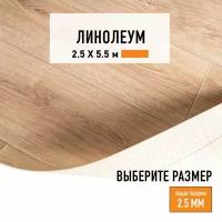 Линолеум для пола на отрез 2,5х5,5 м LEVMA HOME 02, бытовой, 21 класс, 4826212-2,5х5,5