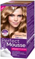 Perfect Mousse стойкая краска-мусс для волос Nude