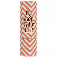 SKINFOOD Кейс для губной помады My Short Cake Lip Case