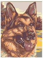 Картина по номерам, "Живопись по номерам", 30 x 40, A52, пёс, животное, немецкая овчарка, природа, охранник