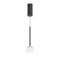 Arlight Светильник SP-BEADS-HANG-T-R100-8W Warm3000 (BK, 180 deg, 230V) (Arlight, IP20 Металл) 036520