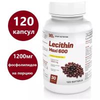 соевый лецитин XL Lecithin Maxi, 120 капсул, фосфолипиды эссенциальные