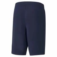 Шорты PUMA/58672906/ACTIVE Interlock Shorts/синий/L