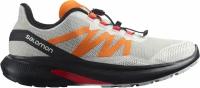 Кроссовки Salomon HYPULSE LunRoc/Vibrant Orange для мужчин L41594900 11