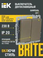 Переключатель 2-х полюсный IEK BR-V22-0-10, 10 А