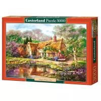 Пазл Castorland Twilight at Woodgreen Pond (C-300365), 3000 дет., разноцветный