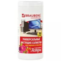 Салфетки Brauberg для экранов всех типов и пластика с ароматом "астра", в тубе 100 шт., влажные, 511689, 511689СМ