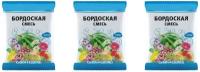 Бордоская смесь 200г в наборе из 3 упаковок, смесь для приготовления жидкости, уничтожающей парши, пятнистости, фитофтороз, ржавчины