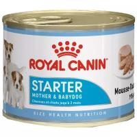 Влажный корм для кормящих собак и щенков Royal Canin Starter Mousse