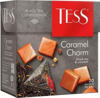 Упаковка из 12 пачек Чай Tess Caramel Charm 1.8гх20 пак/пирамидки