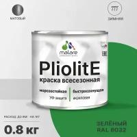 Краска-эмаль Pliolite всесезонная, зимняя, для всех типов поверхностей, антикоррозионная, RAL 6032, зеленый, матовая, 0,8 кг