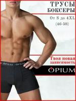 Трусы Opium, размер XXXL, серый