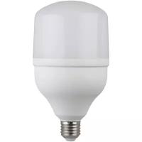 Лампа светодиодная ЭРА STD LED POWER T100-30W-2700-E27 Е27 30Вт колокол теплый белый свет арт. Б0027002 (1 шт.)