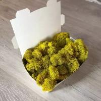 Стабилизированный мох ягель 100 гр желтый / лесной мох для декора, флористики, озеленения и дизайна, хобби и творчества / растение для поделок сделай сам