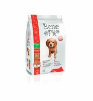 Сухой корм BeneFit Puppy Medium with Lamb & Rice для щенков средних пород с ягненком и рисом 2.5 кг