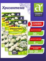 Семена Хризантема Снежный шар пиретрум Однолетние 0,01 гр. х 3 шт