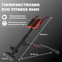 Наклонная гиперэкстензия Evo Fitness RM01