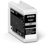 Картридж Epson T46S Grey C13T46S700 для SC-P700