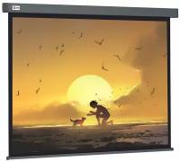 Экран рулонный Cactus Wallscreen CS-PSW-124X221-SG