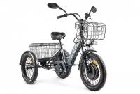 Электровелосипед Eltreco Green City e-Alfa Trike, год 2023, цвет Серебристый