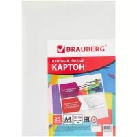 Белый картон мелованный BRAUBERG, A4, 25 л