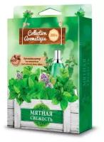 Ароматизатор под сиденье FOUETTE "Collection Aromatigue" Мятная свежесть (200мл) (CA-21)