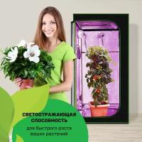 SunGrass / Гроутент для выращивания растений / Гроубокс VGT02 - 40х40х120 см