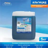 Альгицид Aqualeon 5 л против водорослей в бассейне непенящийся пролонгированного действия (5 кг). Химия для бассейна, средство против водорослей