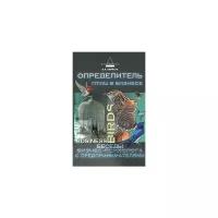 Карнаух И.И. "Определитель птиц в бизнесе. Беседы бизнес-психолога с предпринимателями"