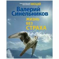 Синельников Валерий Владимирович "Жизнь без страха"