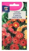 Семена цветов Гербера "Джемсона", 0,02 г