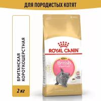 Сухой корм для котят Royal Canin KITTEN BRITISH SHORTHAIR (киттен бритиш шортхэйр) Birth & Growth Специальное питание для котят породы британская короткошерстная в возрасте от 4 до 12 месяцев 2 кг