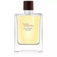 Парфюмерная вода мужская Hermes Terre D'Hermes Eau Intense Vetiver 100 мл Гермес мужские ароматы для мужчин парфюм