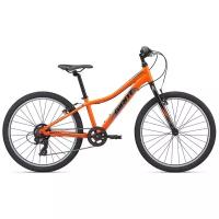 Горный (MTB) велосипед Giant XtC Jr 24 Lite (2021)