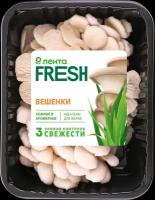 Вешенки лента FRESH