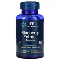 Blueberry Extract Capsules, 60 vegetarian capsules