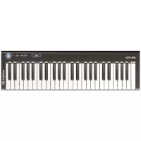 Клавиатура MIDI Axelvox KEY49j Black 49 клавиш черный