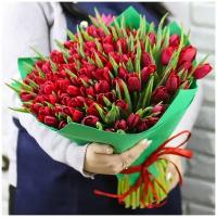 Цветы живые букет из 101 красного тюльпана в дизайнерской упаковке с атласной лентой