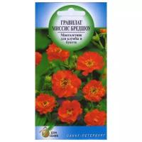 "Гравилат многолетний Миссис Бредшоу, 50 семян"
