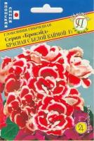 Глоксиния Брокэйд Красная с белой каймой F1. Семена. Многолетник высотой 15-20 см. с махровыми цветками