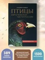 Храбрый В. Птицы Европейской части России. Фотоопределитель. Феникс - атлас