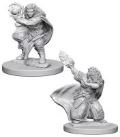 Миниатюра для настольной ролевой игры Dungeons and Dragons - Nolzur's Marvelous Miniatures - Dwarf Female Wizard