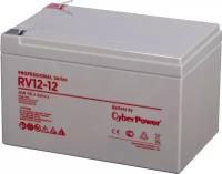 CyberPower Professional series RV 12-12