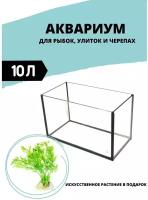 Аквариум для рыбок